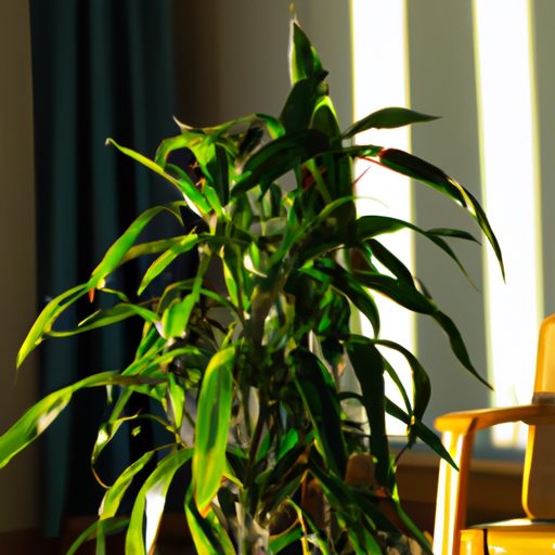 a vibrant zz plant basking in sunlight p 512x512 87195891