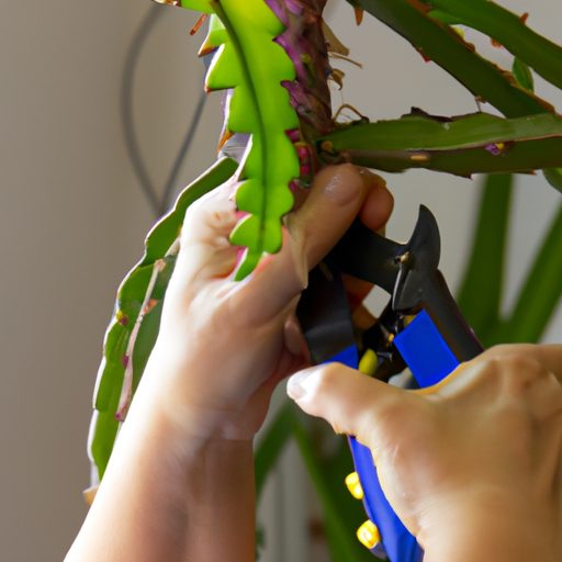 an image of a person carefully pruning a 512x512 93685547