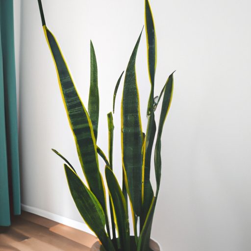 an image of a vibrant green snake plant 512x512 38161592