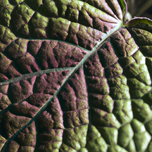 close up of a dusty plant leaf photoreal 512x512 25236132
