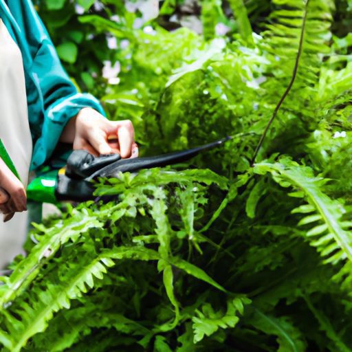 close up of a gardener trimming ferns ph 512x512 7666765