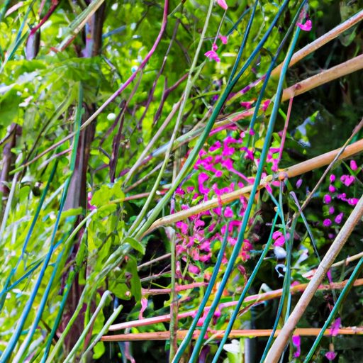 colorful climbing plants adorning tensio 512x512 79911453