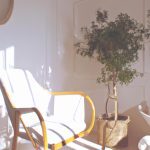 An image showcasing a cozy living room, bathed in soft, diffused light