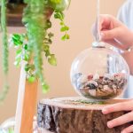 step by step guide to building a diy hanging terrarium 1