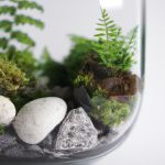 terrariums as a sustainable home decor option eco friendly tips 1