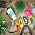 the 6 must have essentials i keep in my plant care kit