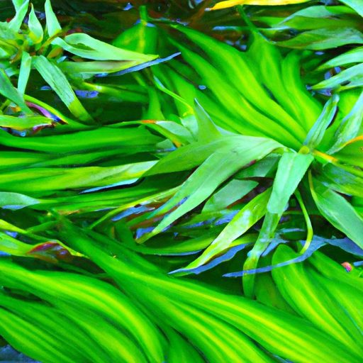 vibrant green algae blooms surround vall 512x512 54963019