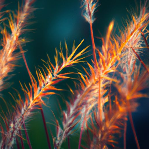 vibrant orange wavy grass in spotlight p 512x512 12810300